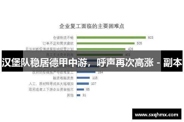 汉堡队稳居德甲中游，呼声再次高涨 - 副本