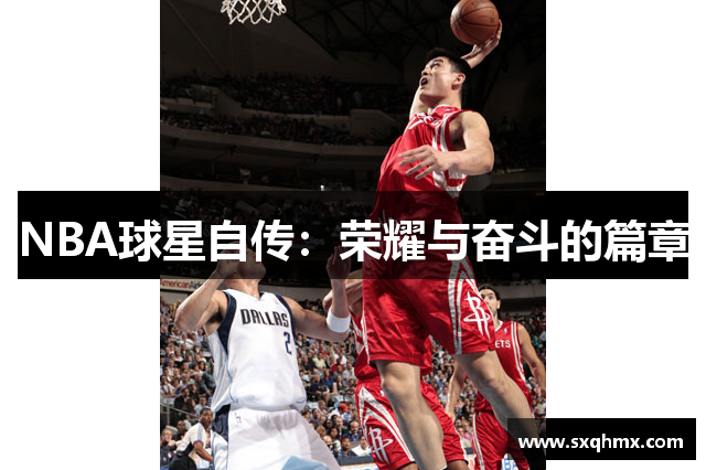 NBA球星自传：荣耀与奋斗的篇章