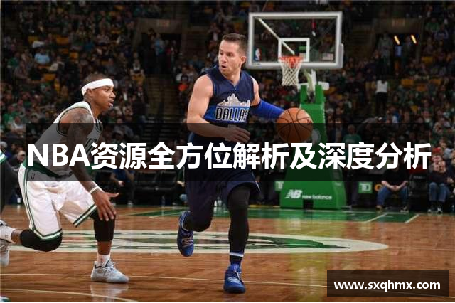 NBA资源全方位解析及深度分析